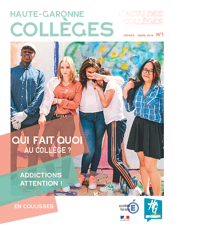Haute-Garonne collèges 1.png