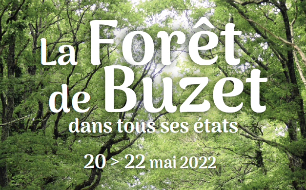 forêt de buzet 2022.PNG