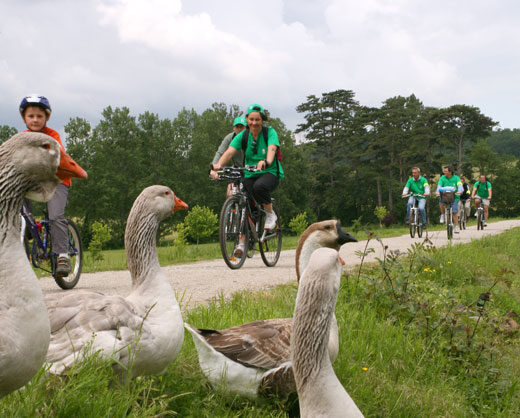 parcours_cyclable_01_520pixels_large.jpg