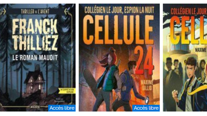 romans décembre.png