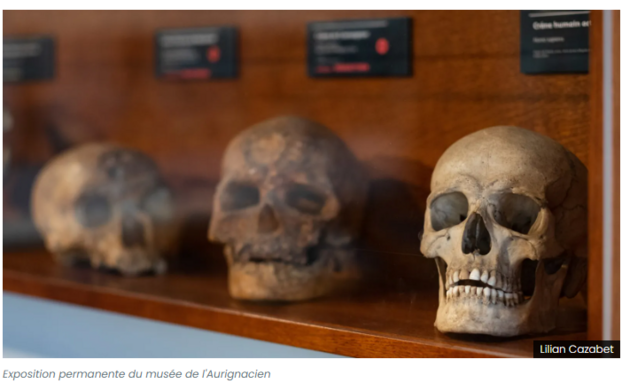 Musée Aurignacien 2026-06-16 153610.png